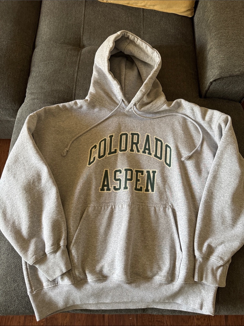 Brandy Melville Colorado Aspen Hoodie